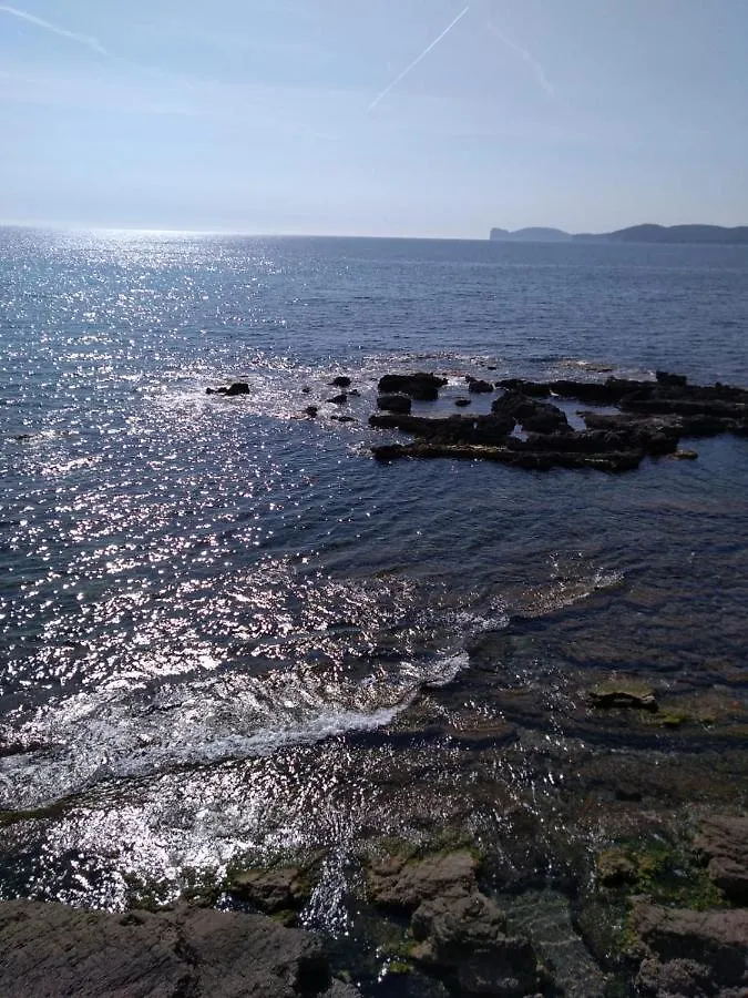Piazza Ginnasio Affittacamere Alghero